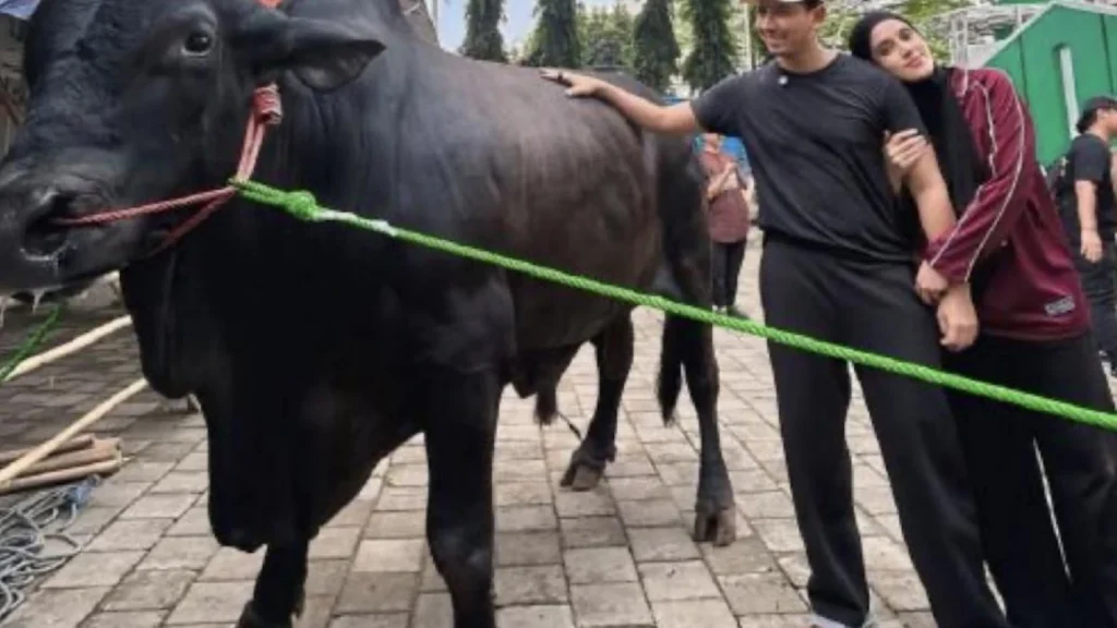 Insiden Tak Terduga Menjelang Iduladha