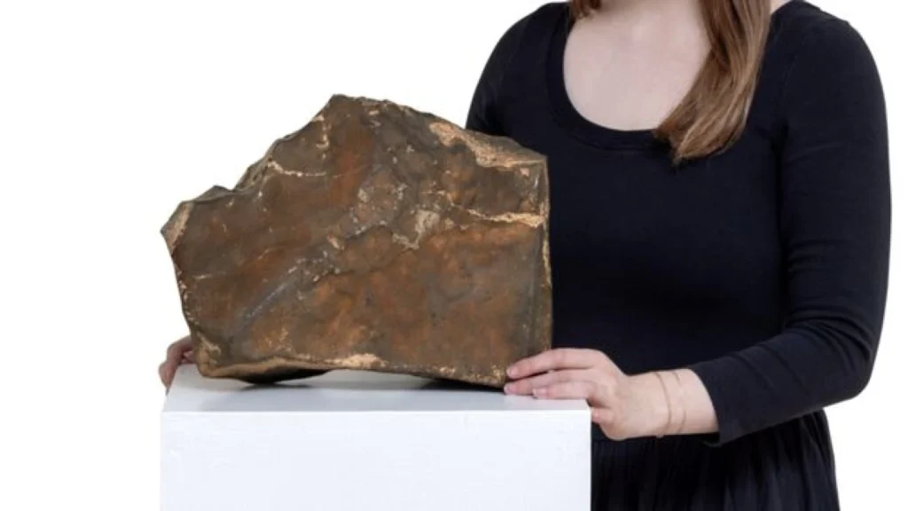 Meteorit Langka dari Mars NWA-16788 Akan Dilelang dengan Nilai Jual Rp 64,9 Miliar