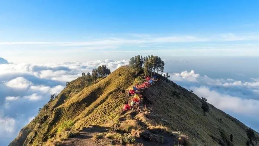 Perbaikan Jalur Pendakian Gunung Rinjani untuk Keselamatan Pendaki