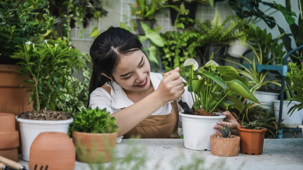 Tren Urban Gardening: Berkebun di Balkon untuk Kesehatan dan Keindahan