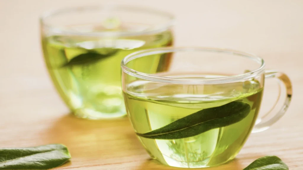 Alternatif Minuman Sehat untuk Tingkatkan Fokus Kerja